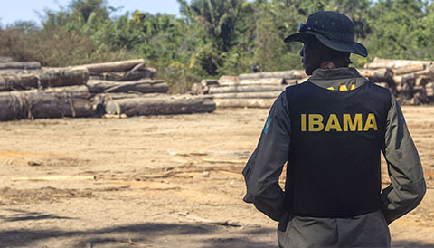 Concurso IBAMA 2025: Prepare-se com o Inglês para Concursos